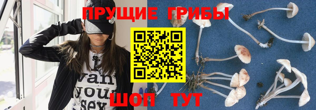Псилоцибиновые грибы Magic Shrooms Ржев