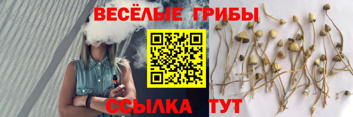 Псилоцибиновые грибы прущие грибы  Вход с VPN  Ржев 